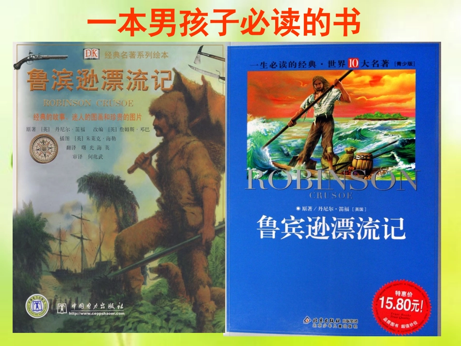 鲁滨孙漂流记ppt_第3页