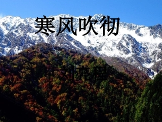 8、寒风吹彻
