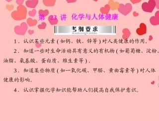 2013年中考化学复习-第23讲《化学与人体健康》课件-粤教版