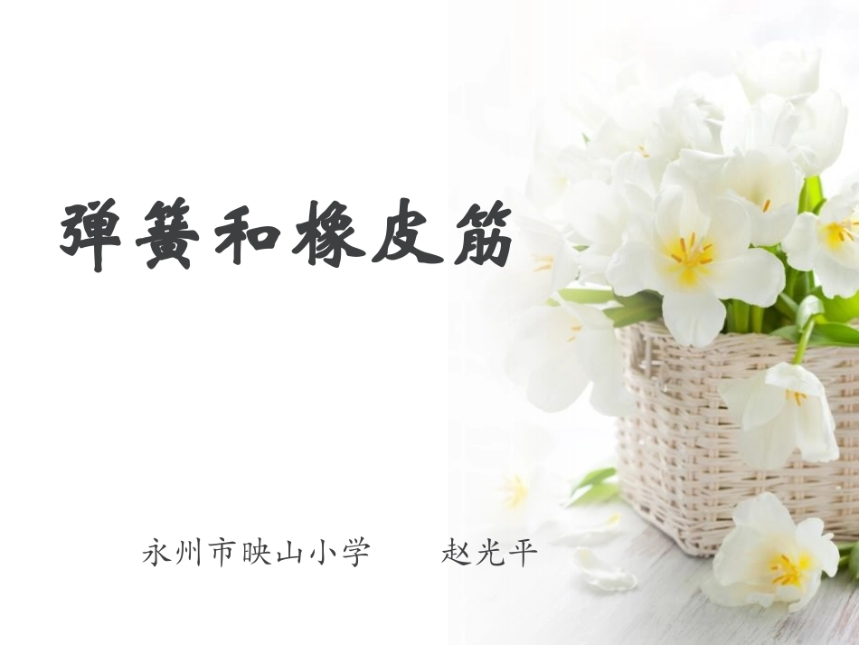 2弹簧和橡皮筋_第1页
