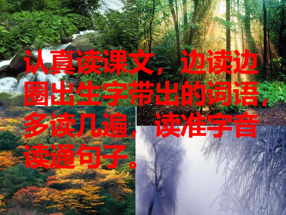 美丽的小兴安岭_第3页