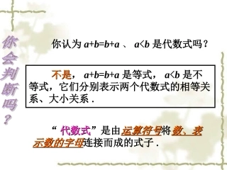疑难解读-代数式