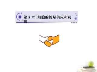 四川省成都市高考生物第五章课件1-新人教版必修1