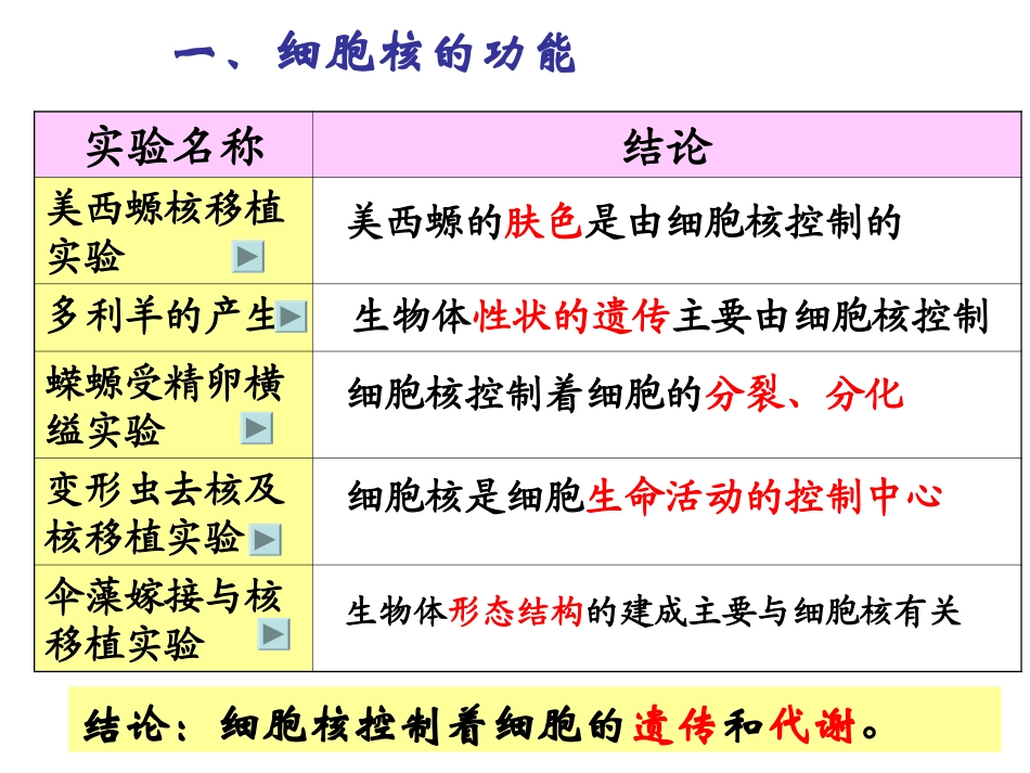 高中生物：-24-细胞核(课件)浙科版必修1_第3页