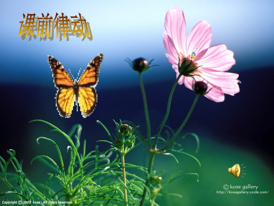 三年级上册《小乌鸦爱妈妈》_第2页