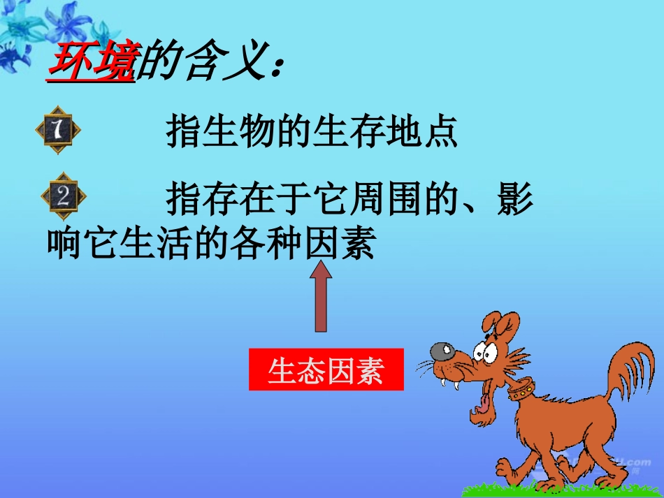 七年级生物上册-第二章-生物与环境的关系课件-人教新课标版_第3页