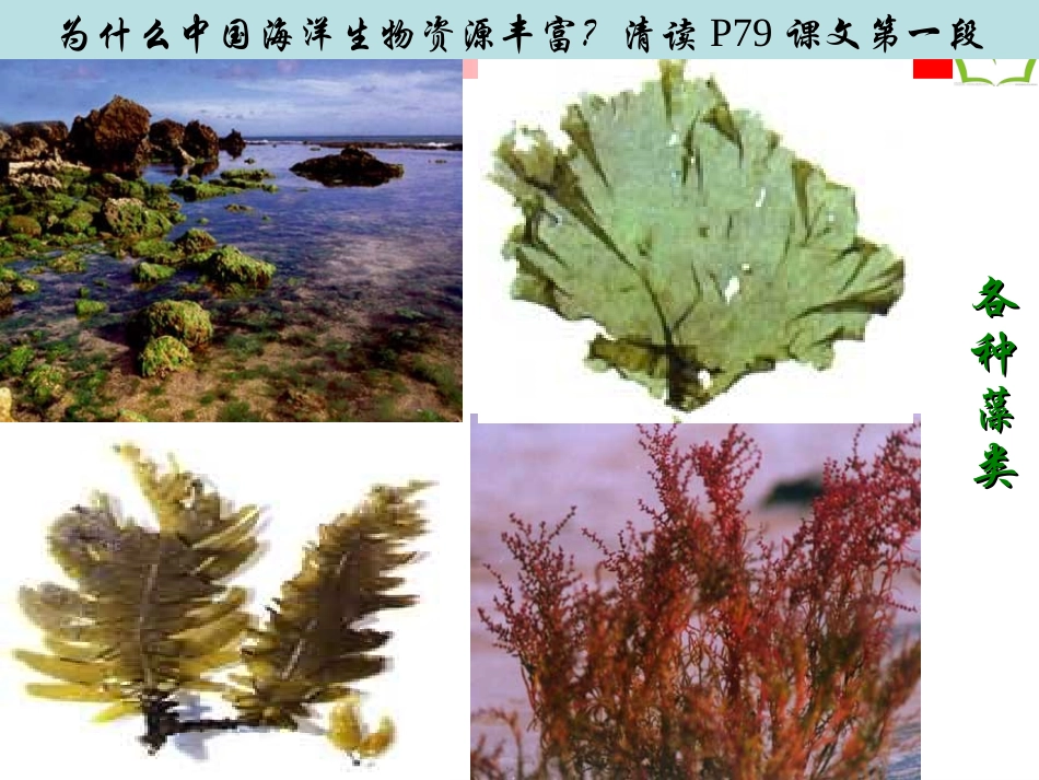 第四节中国的海洋资源_第3页