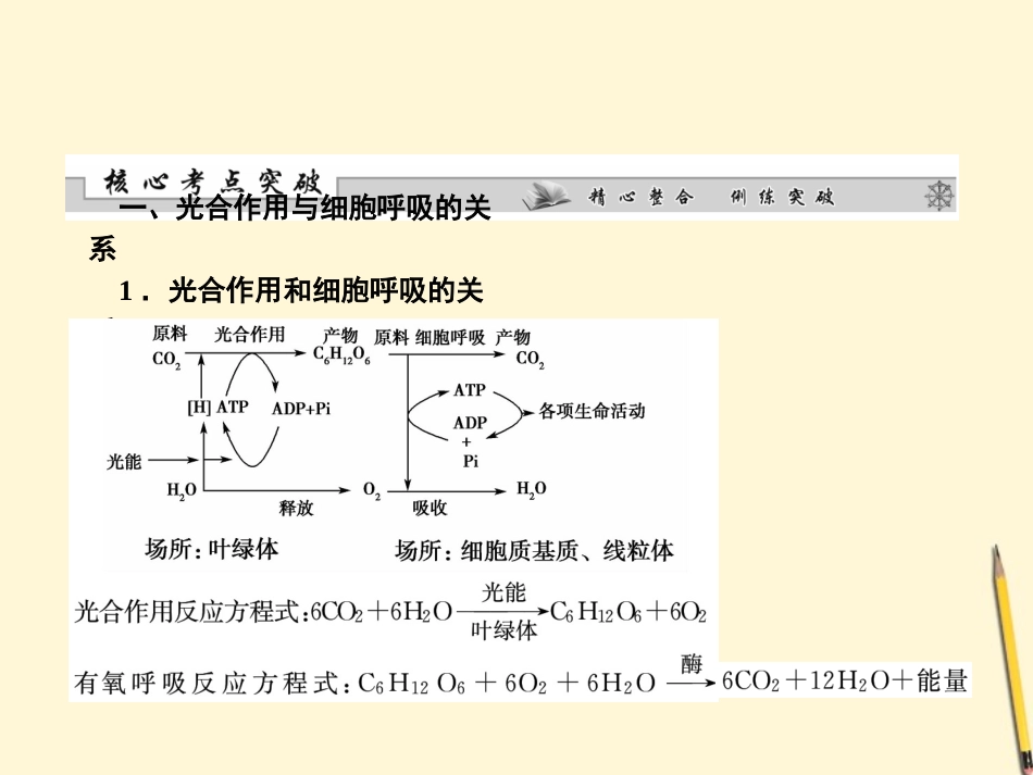 2012届高考生物二轮专题复习-光合作用与呼吸作用课件_第2页