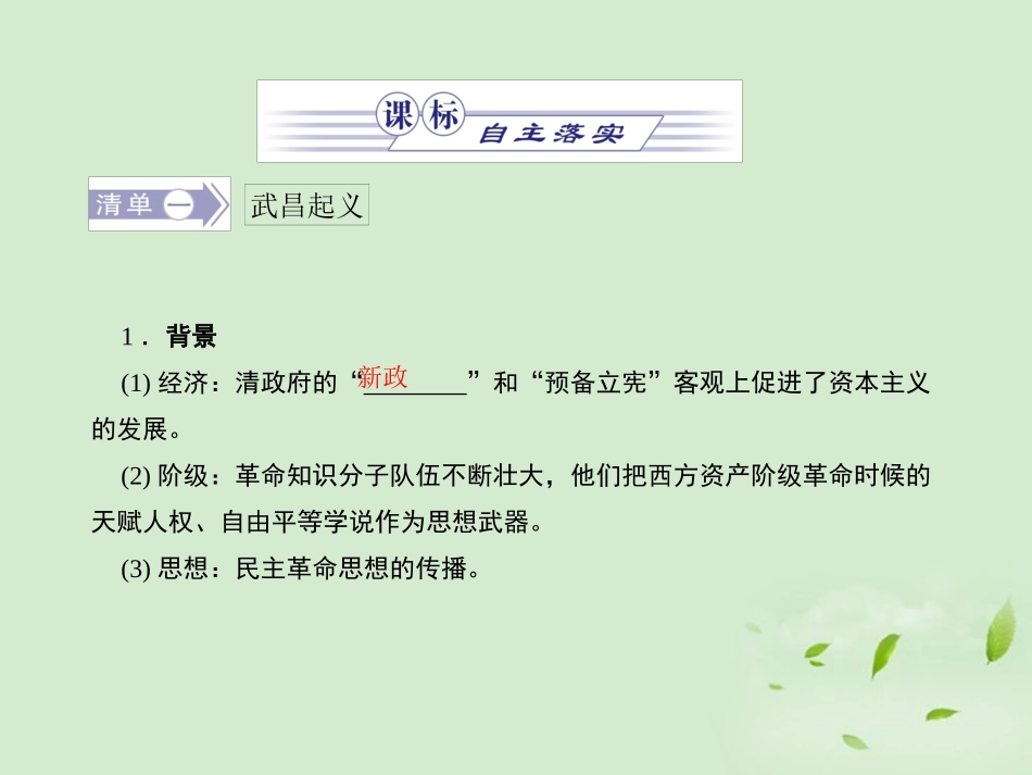 2012高中历史-4.4-辛亥革命课件-新人教版必修1_第2页