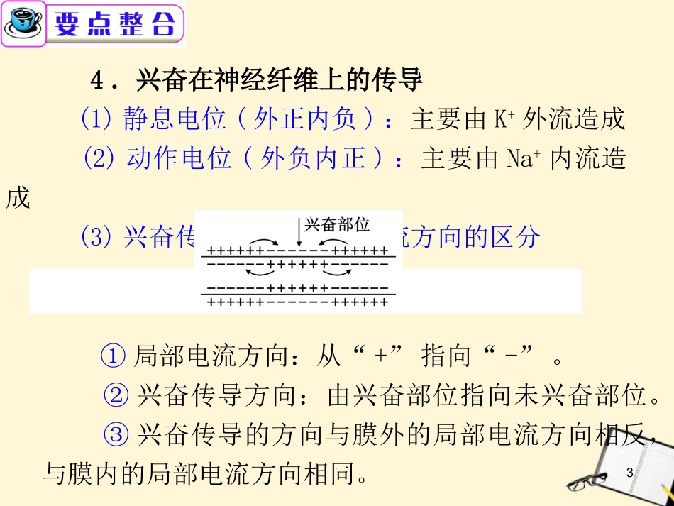 2012届广东省高考生物二轮总复习-第11课时-神经调节和体液调节精品课件_第3页