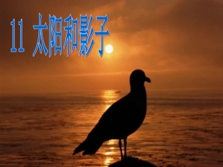 1太阳与影子