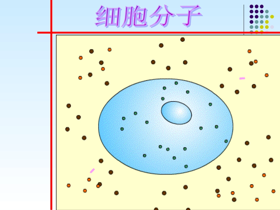 世界是运动的1_第3页