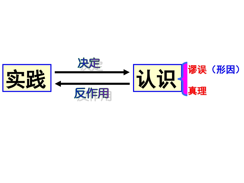 高三政治生活与哲学-在实践中追求和发展真理课件人教版必修1_第3页