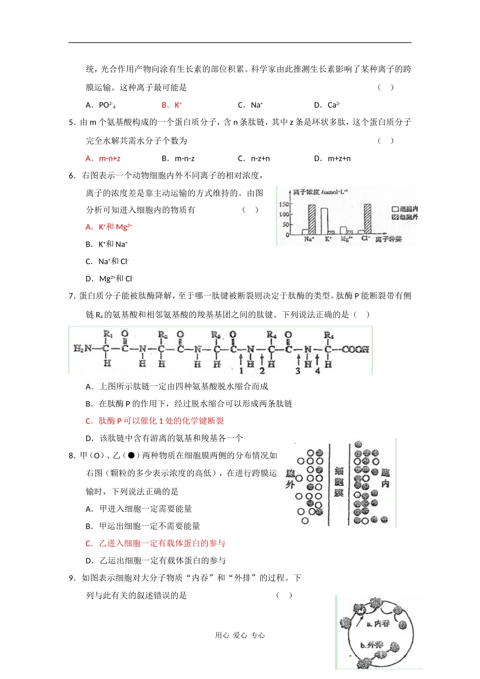 山西实验中学2010届高三生物第三次月考-人教版_第2页