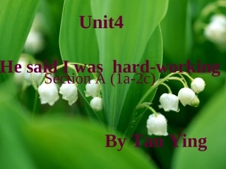 hesaidehe
