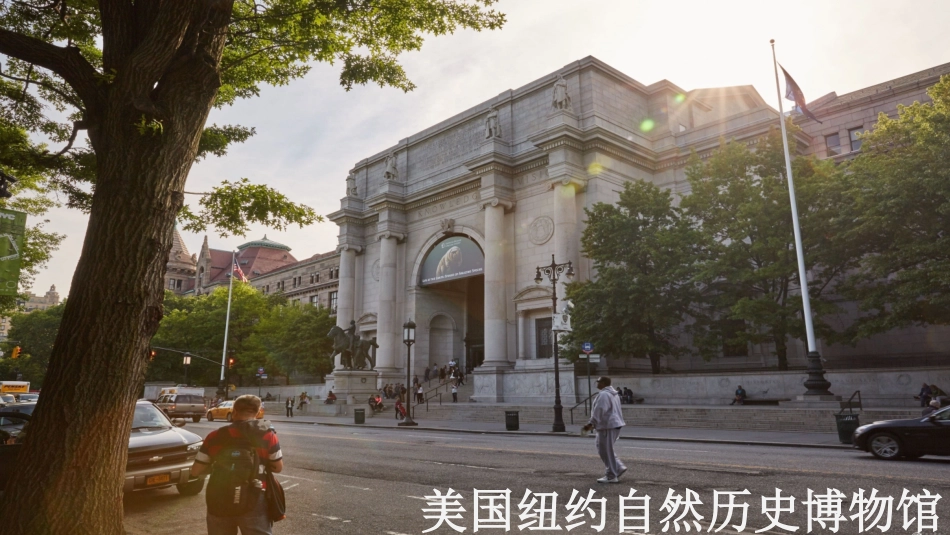 第四课走进博物馆_第3页