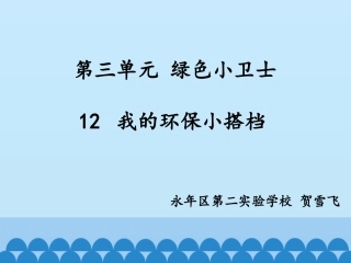12-我的环保小搭档-(11)