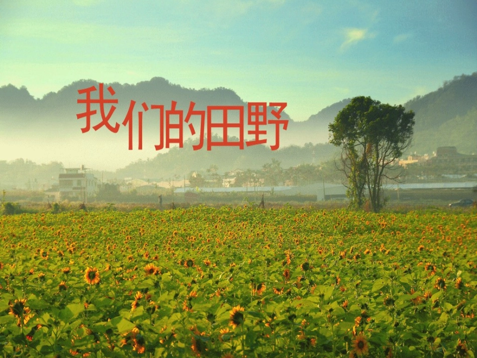唱歌-我们的田野_第1页