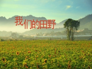 唱歌-我们的田野