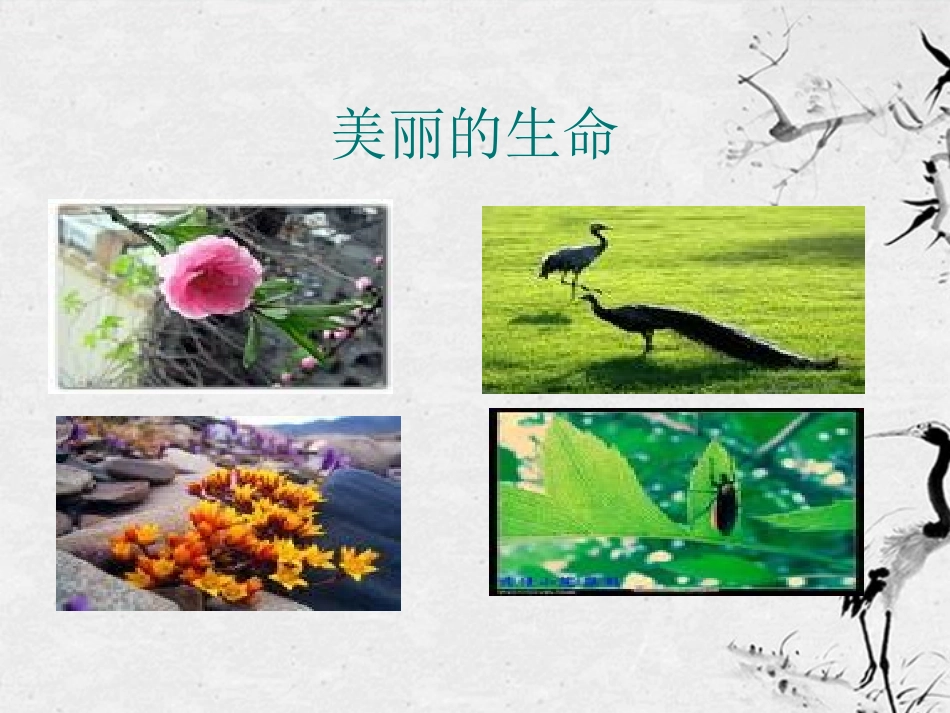 安徽省芜湖市第三十三中学七年级语文《短文两篇》课件(2)-人教新课标版_第1页
