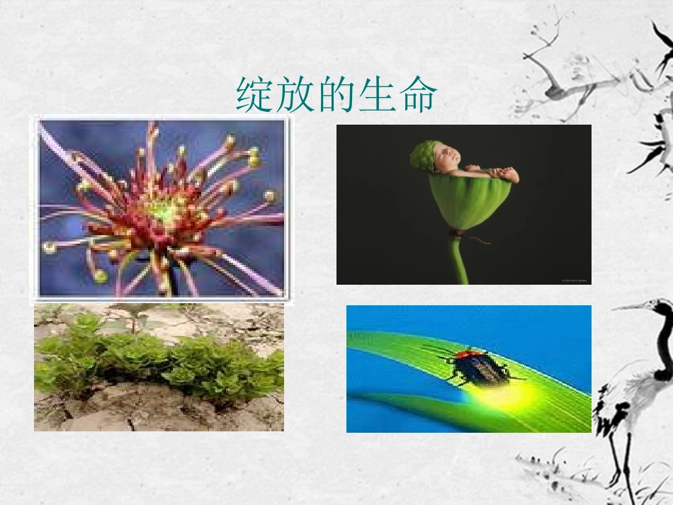 安徽省芜湖市第三十三中学七年级语文《短文两篇》课件(2)-人教新课标版_第2页