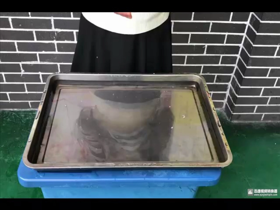 11我是一张纸_第2页