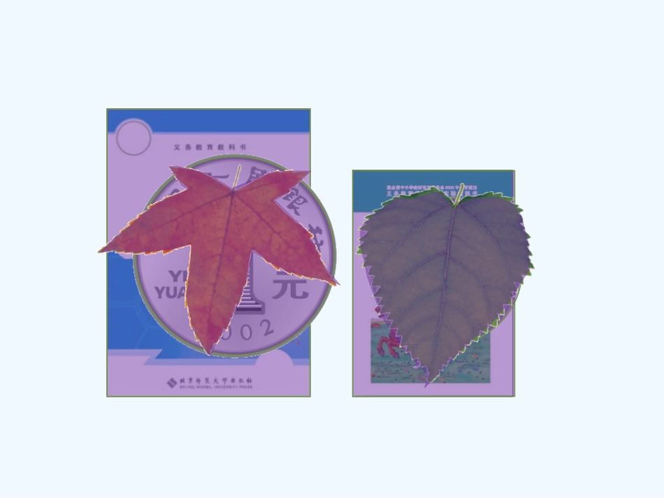 小学数学北师大2011课标版三年级〈什么是面积〉_第3页