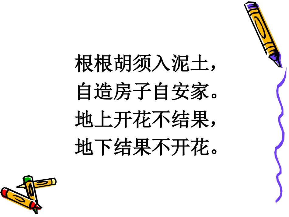 落花生ppt_第1页