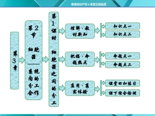 第1部分第3章第2节第1课时-细胞器之间的分工