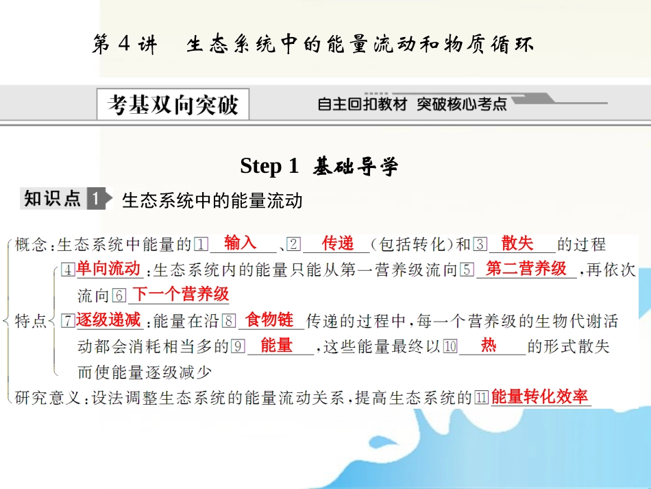 2012届高考生物-第4讲-生态系统中的能量流动和物质循环总复习课件10-必修3_第1页