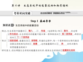2012届高考生物-第4讲-生态系统中的能量流动和物质循环总复习课件10-必修3