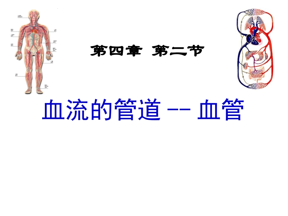 第二节血流的管道——血管_第1页