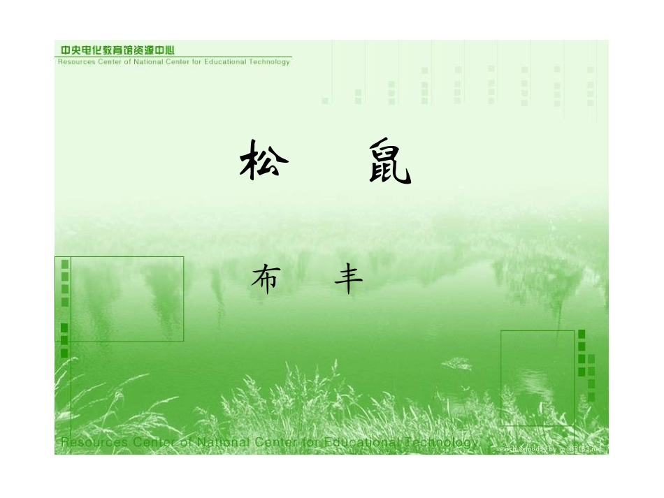 294松鼠[1]_第2页