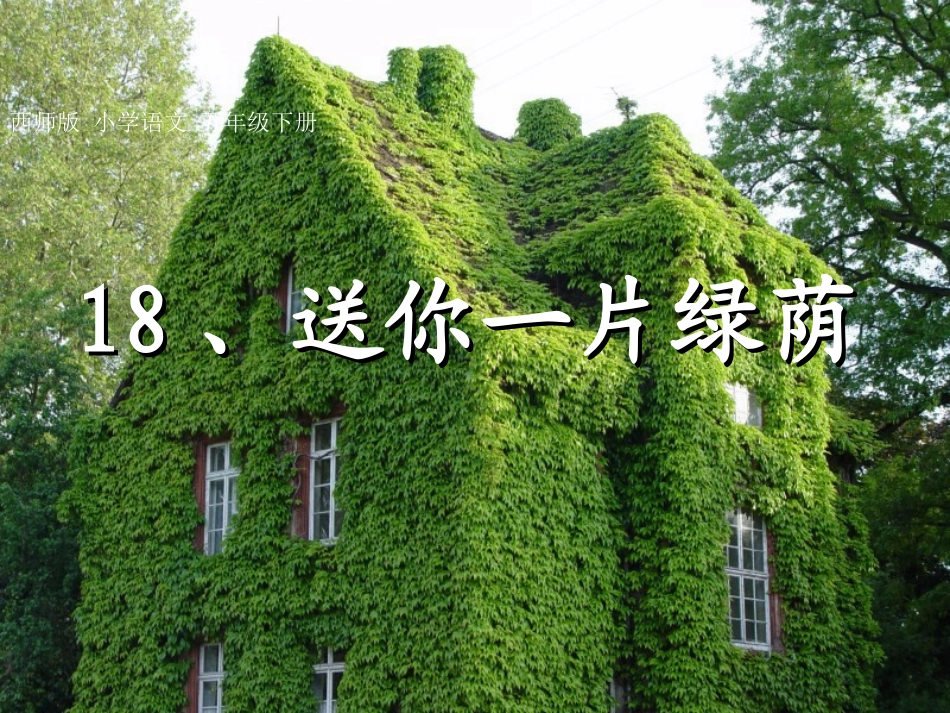 18送你一片绿荫_第2页