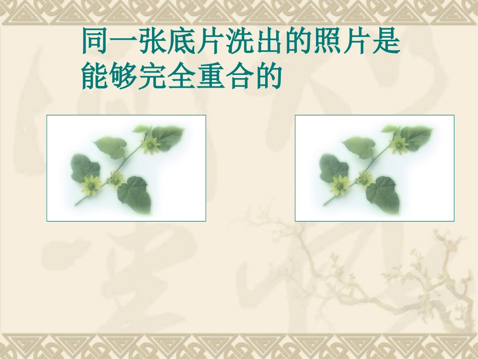 12.4全等三角形_第2页