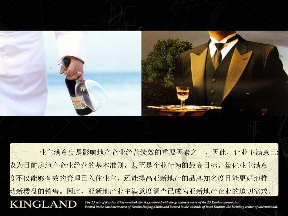 亚新地产客户满意度调查执行方案_第2页