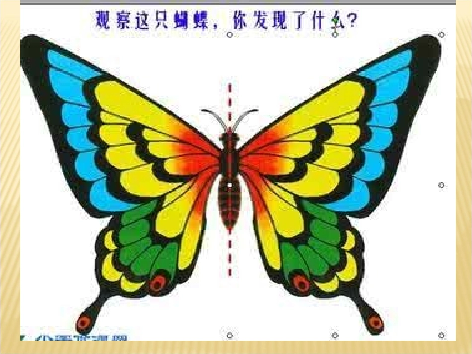 人教2011版小学数学四年级《轴对称》ppt_第1页