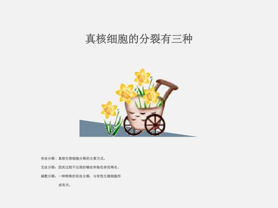 第一节细胞的增殖-(5)_第3页