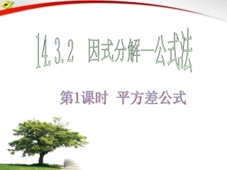 14.3.2因式分解-公式法(.3-.2-因式分解—平方差公式法