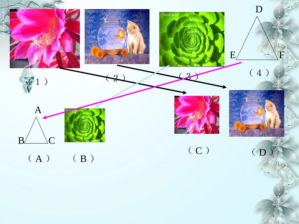 浙江省慈溪市横河初级中学九年级数学上册-4.2相似多边形课件(2)-浙教版_第2页