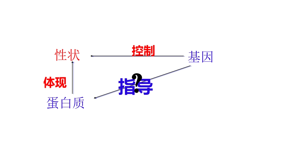 遗传信息的转录和翻译-(2)_第2页