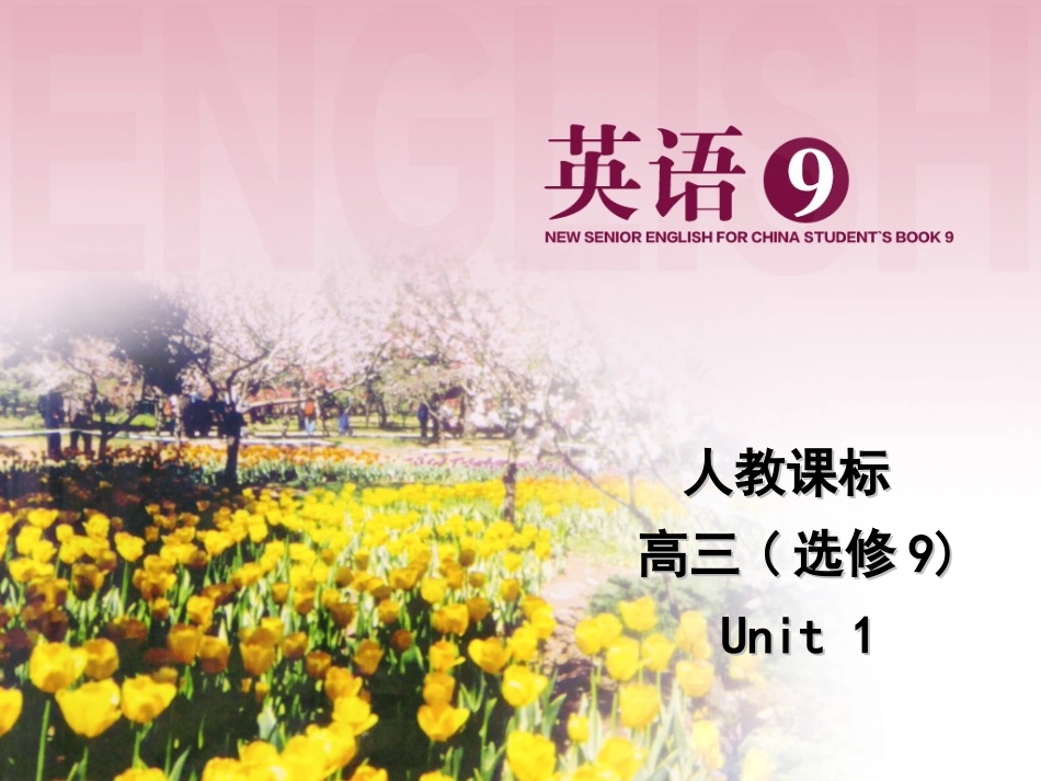 Grammar_第1页