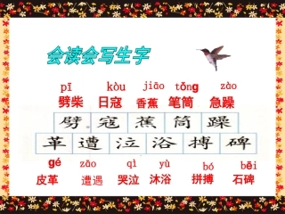 1493《最后一头战象》课件