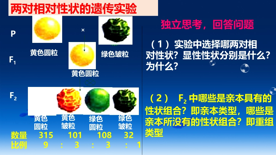 基因的自由组合定律_第3页