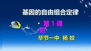 基因的自由组合定律