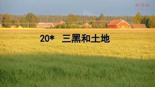 (上课课件)20.-三黑和土地