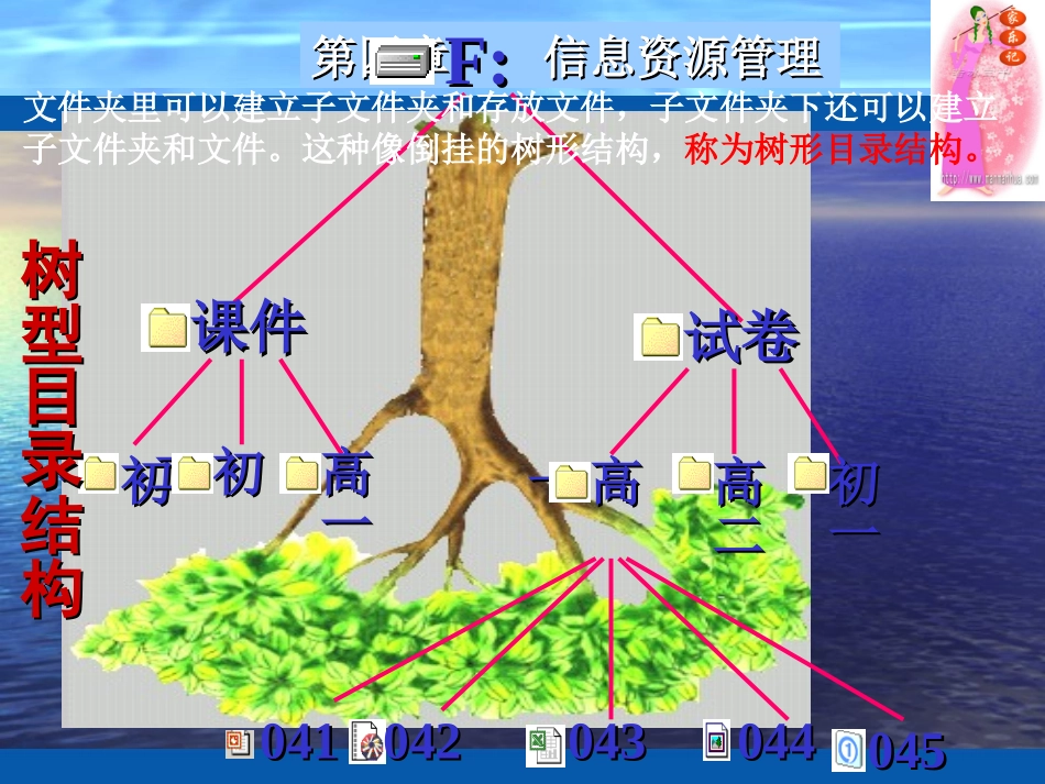 1.身边的信息资源管理_第3页