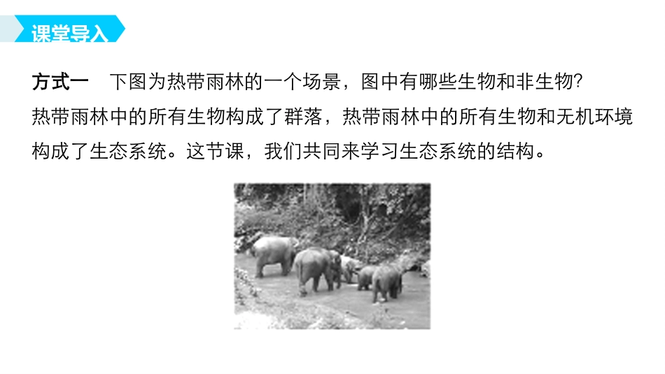 科学家访谈-生物与环境是统一的整体-(2)_第3页
