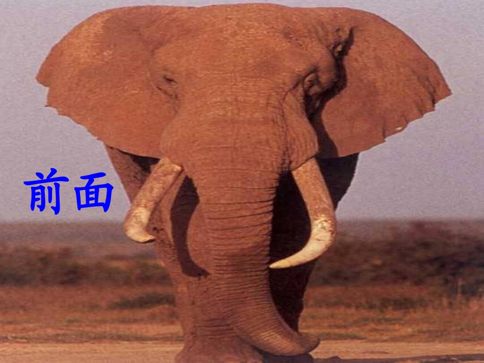 小学数学人教2011课标版二年级〈观察物体〉_第3页