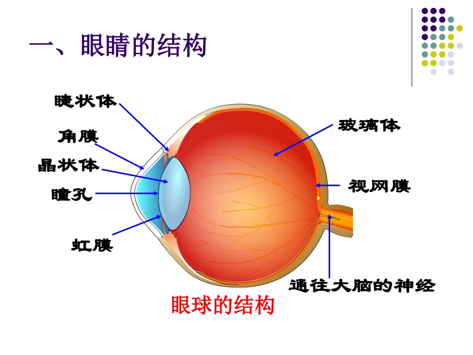 四、眼睛和眼镜_第2页